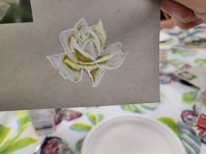 highlights Exercise- Rideau Lakes