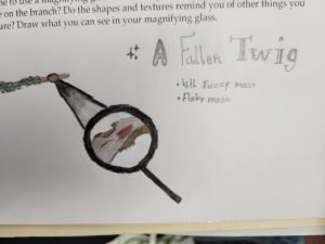 Lichen Close-up- Rideau Lakes