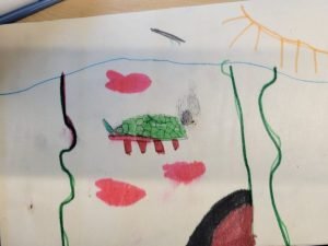 Turtle- Smiths Falls