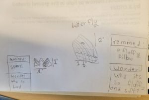 Acorn and Butterfly- Smiths Falls