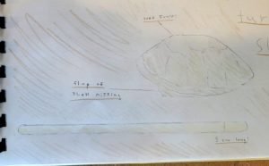 Turtle Shell- North Grenville