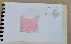 Ivy- North Grenville