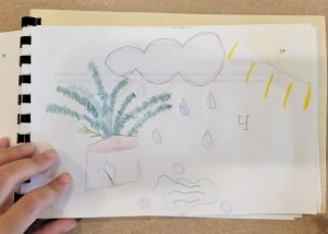 Ivy- North Grenville