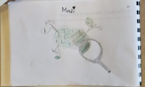 Moss and Lichen Close-up - North Grenville