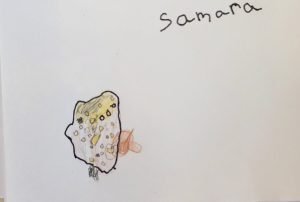 Fungus Close-up-North Grenville