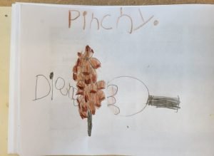 Pinchy Pinecone- North Grenville