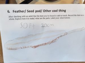 Feather- North Grenville