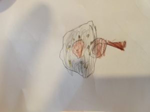 Lichen- North Grenville