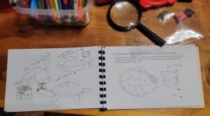 Turtle- Merrickville