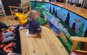 Placing the animals in their habitats