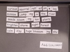 Addison - 12 and Heartly- 6