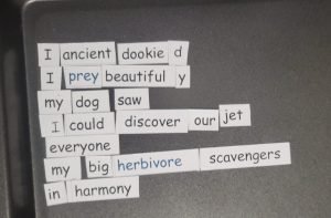 After School Program