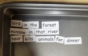 After School Program