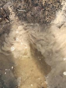 Adilynn-age-9-Merrickville