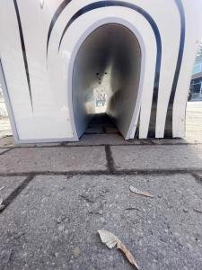 Benji-age-10-North-Grenville