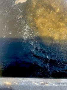 Benji-age-10-North-Grenville