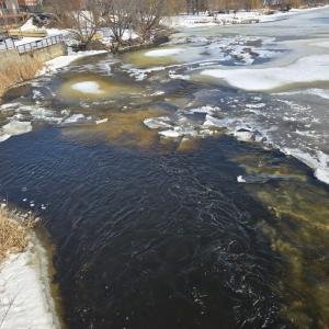 Erika-and-Oliver-age-8-North-Grenville