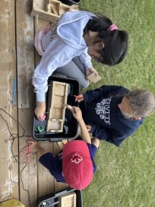 IMG 0761