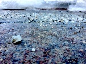 Madi-age-7-North-Grenville