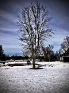 River-age-11?-Merrickville