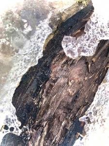 River-age-11?-Merrickville