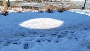 Rori-age-8-North-Grenville