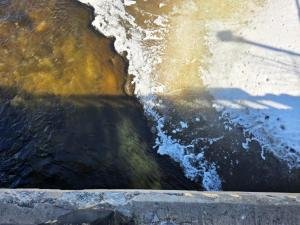 Sarah-grown-up-North-Grenville