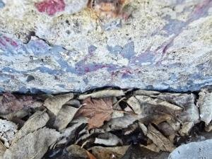 Sarah-grown-up-North-Grenville