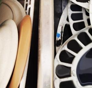 Tammy-age-11-Merrickville